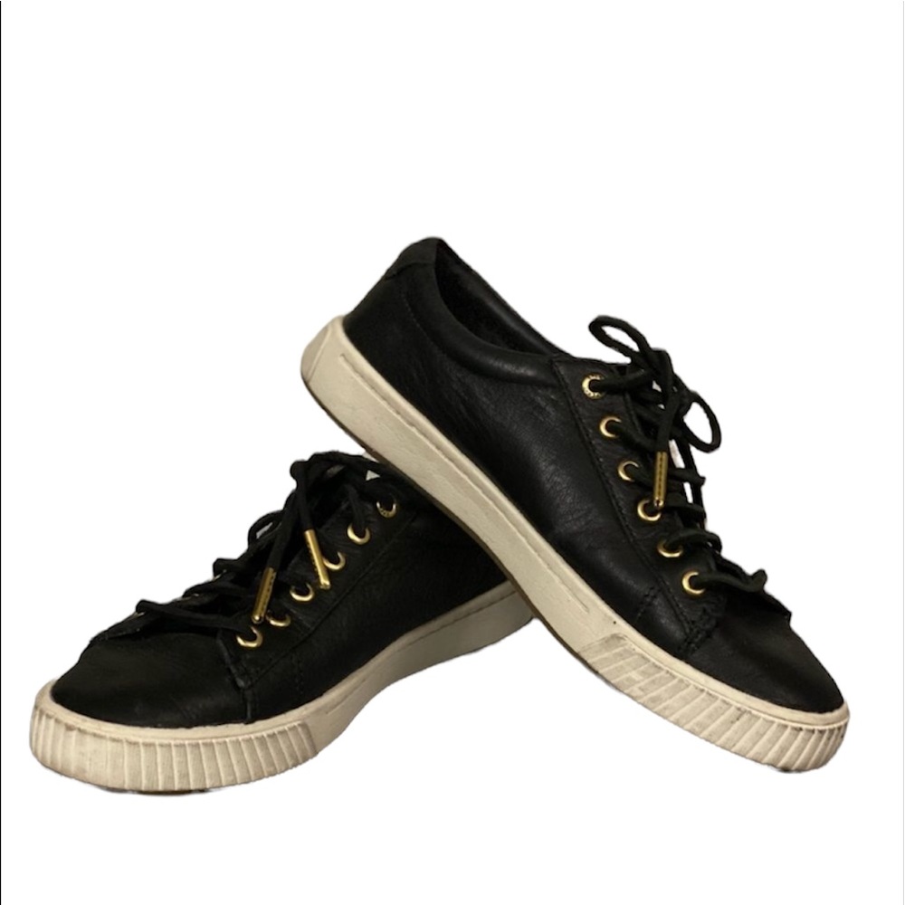 Sperry fashion sneakers